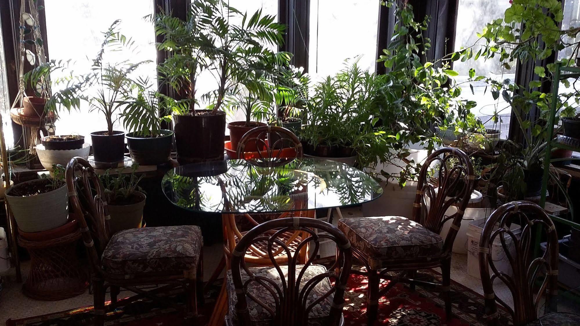 Chestnut Charm Bed & Breakfast Atlantic Esterno foto